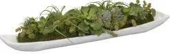 Havertys Succulent Boat Succulent