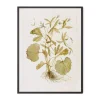 Havertys Timeless Foliage Wall Art Discount