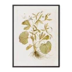 Havertys Timeless Foliage Wall Art Discount