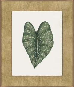 Havertys Timeless Tropics Wall Decor Outlet