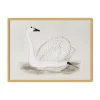 Havertys Vintage Swan Wall Art New