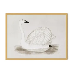 Havertys Vintage Swan Wall Art New