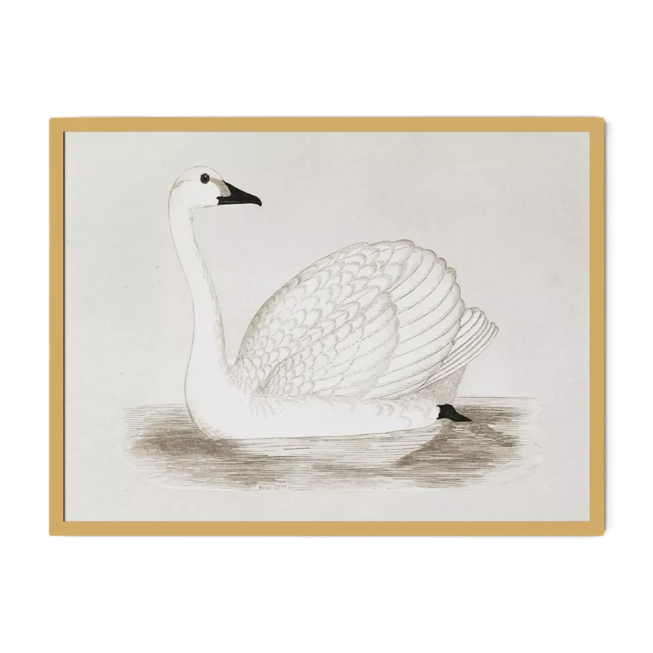 Havertys Vintage Swan Wall Art New